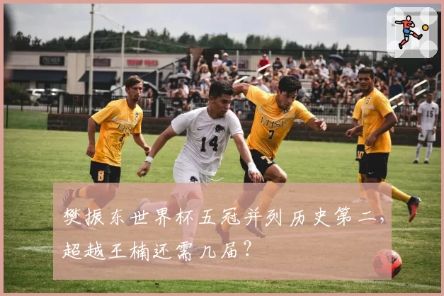 樊振东世界杯五冠并列历史第二,超越王楠还需几届?