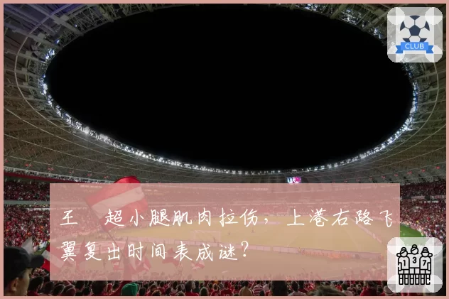 王燊超小腿肌肉拉伤，上港右路飞翼复出时间表成谜？