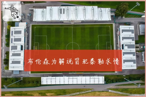 布伦森为解说冒犯泰勒求情