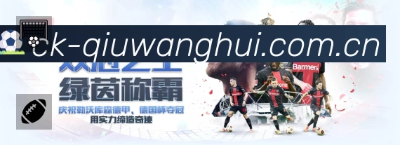 球王会平台展示